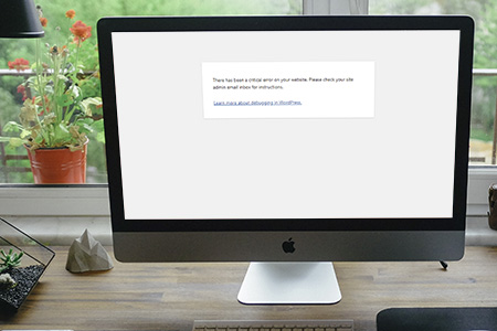 Fix WordPress Critical Error